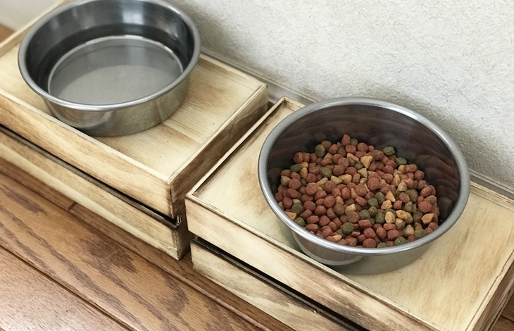 ペットの食事スペースを快適にするリノベーション